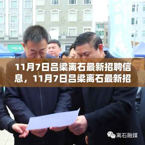 11月7日吕梁离石最新招聘信息全解析与介绍