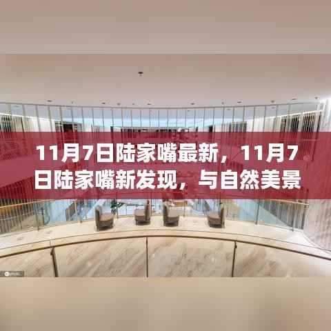 11月7日陆家嘴新发现,自然美景中的内心宁静之旅