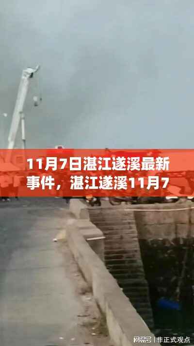 湛江遂溪11月7日事件全解析,初识到深入了解的步骤指南