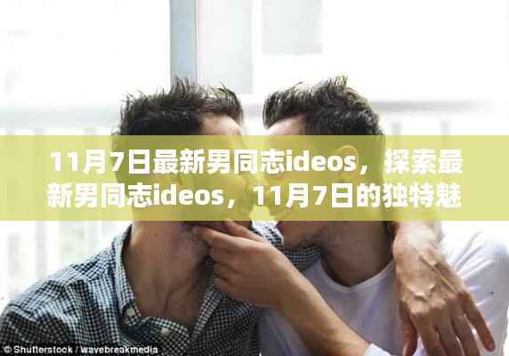 探索最新男同志ideos的独特魅力,11月7日的精选视频分享