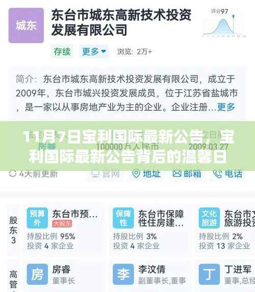 宝利国际最新公告揭秘，友谊的纽带与爱的传递背后的温馨日常故事