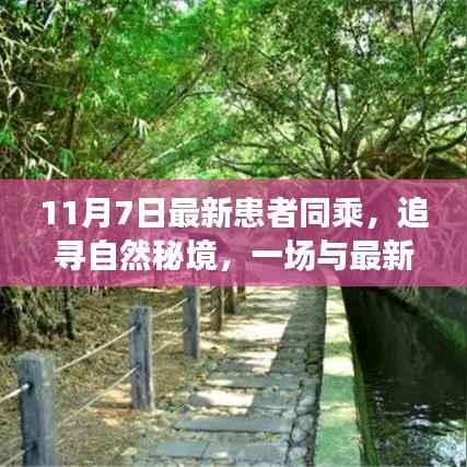 追寻自然秘境,与最新患者同乘的心灵之旅