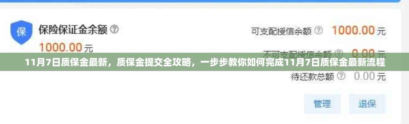 11月7日质保金最新流程详解,提交全攻略与步骤指南