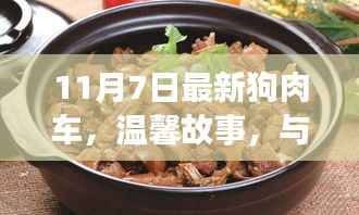 温馨故事,与最新狗肉车的奇妙相遇之旅(11月7日)