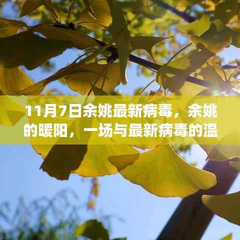 余姚暖阳下的病毒挑战,最新病毒与温馨日常冒险