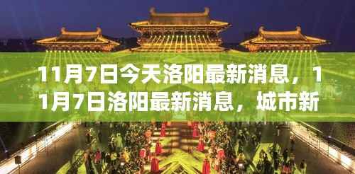 11月7日洛阳城市新动态与发展亮点最新消息