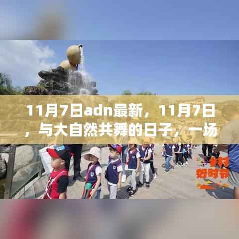 11月7日，与自然共舞的心灵之旅日