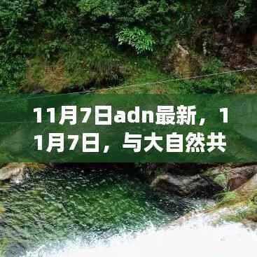 11月7日,与自然共舞的心灵之旅日