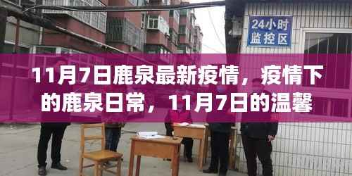 鹿泉抗疫故事,疫情下的日常与温馨抗疫行动(11月7日最新消息)
