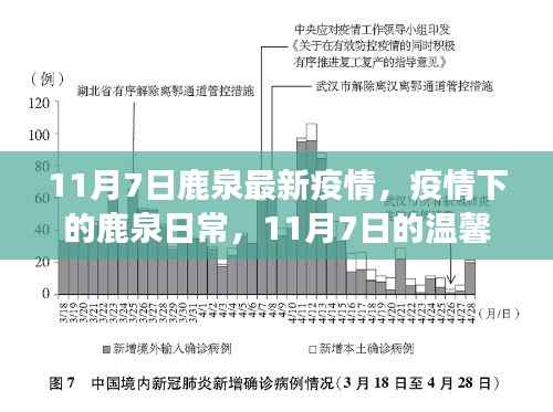 鹿泉抗疫故事,疫情下的日常与温馨抗疫行动(11月7日最新消息)