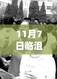 11月7日临沮论坛,新闻热点、热议焦点与深度解读