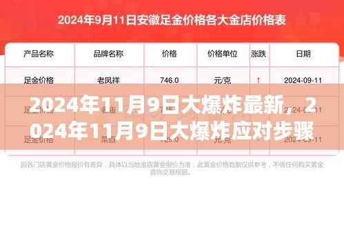 2024年11月9日大爆炸应对指南,全方位准备与应对步骤