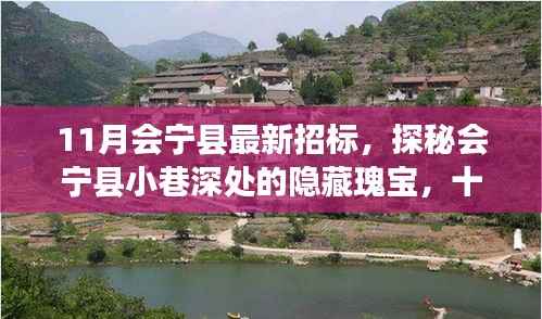 会宁县最新招标揭秘,探寻隐藏瑰宝与招标背后的故事