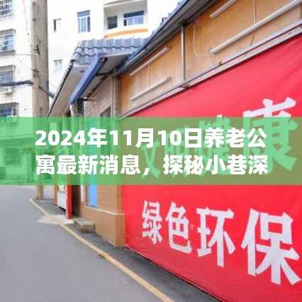 探秘养老公寓新动态,揭秘温馨居所最新消息,带你走进养老公寓的未来世界(2024年11月10日更新)