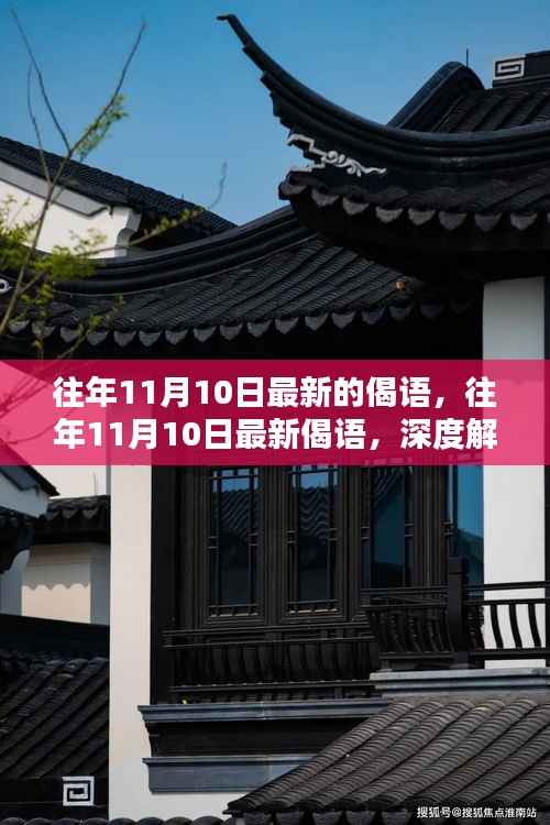 往年11月10日最新偈语深度解析与体验分享,深度解读与用户体验探讨
