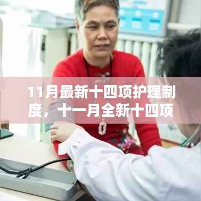 最新护理制度详解,重塑护理品质的十一月指南与三个关键要点