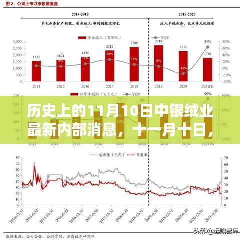 中银绒业内部最新消息揭秘,温馨日常与深厚情感纽带在11月10日的历史时刻