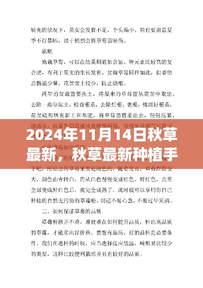 秋草最新种植手册,从入门到进阶,一步步学会如何种植与管理秋草(2024年指南)