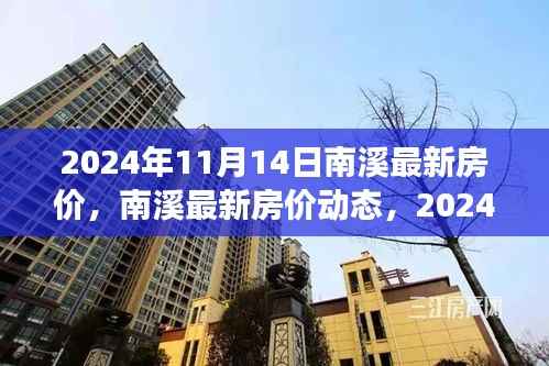 南溪最新房价动态,2024年11月14日的观察与解析