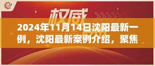 聚焦沈阳,最新案例介绍与独特产品评测(2024年11月14日)