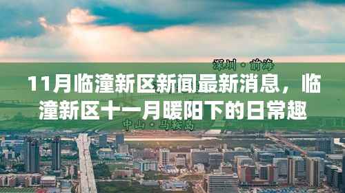 临潼新区十一月暖阳下的日常与深厚友情最新消息