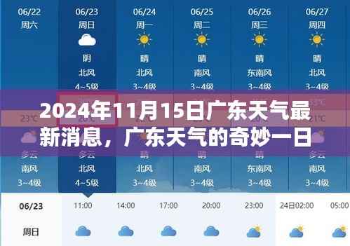 广东天气,奇妙一日的温馨际遇(2024年11月15日最新消息)