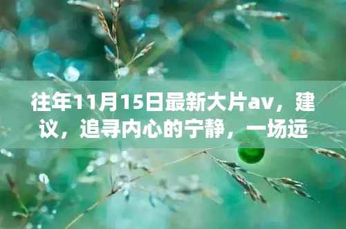 追寻内心的宁静,自然美景之旅,往年大片回顾与启示