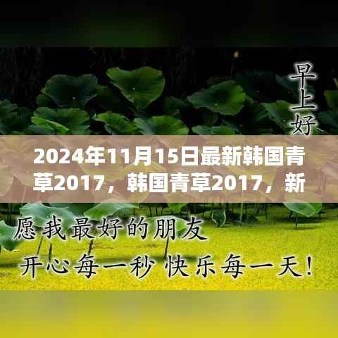 韩国青草2017,新手入门指南与进阶技能学习步骤详解(最新资讯)