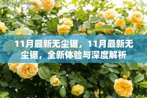 11月最新无尘锯,全新体验与深度解析揭秘