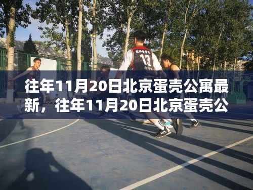 往年11月20日北京蛋壳公寓最新动态,探索都市居住新潮的引领者