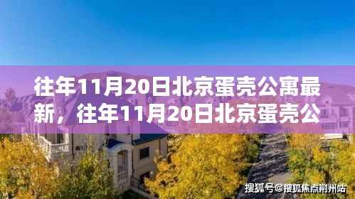 往年11月20日北京蛋壳公寓最新动态,探索都市居住新潮的引领者