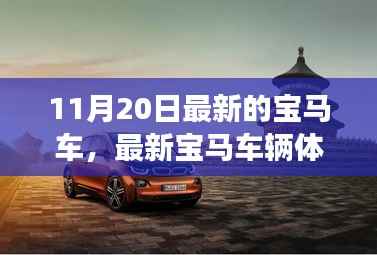 全方位掌握,最新宝马车辆体验指南——从选购到驾驶
