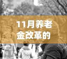 聚焦11月养老金改革,最新动态与深度解读揭秘改革进展