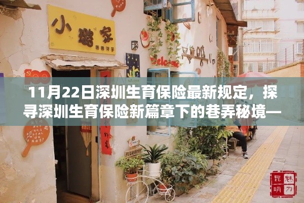 深圳生育保险新规定下的巷弄秘境,探寻隐藏小巷的特色小店