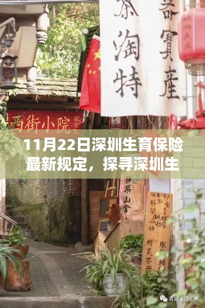 深圳生育保险新规定下的巷弄秘境,探寻隐藏小巷的特色小店