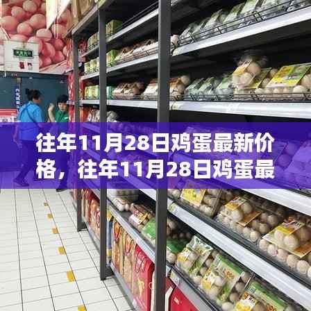往年11月28日鸡蛋价格深度解析,最新行情与评测介绍