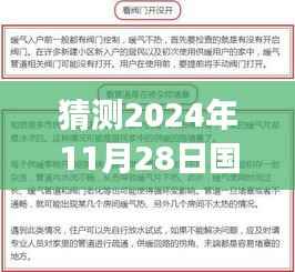 深度解读,预测2024年疫情政策走向,未来疫情通知展望与解读