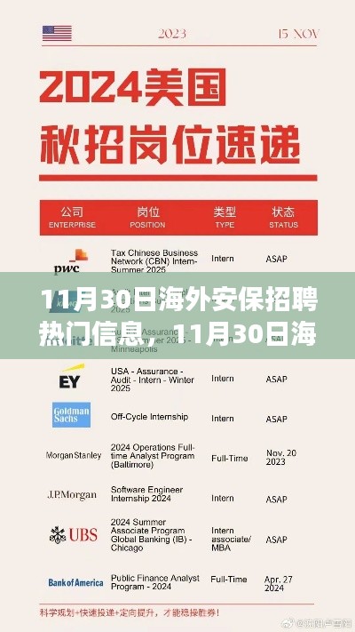 11月30日海外安保招聘最新动态,变化催化成长,自信引领未来