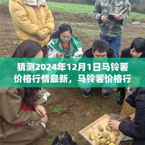 未来马铃薯市场趋势解析,预测马铃薯价格行情及影响因素展望(XXXX年预测报告)