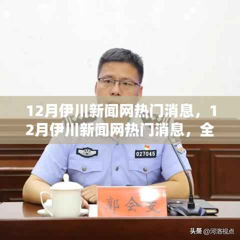 12月伊川新闻网热门消息全面评测与深度介绍
