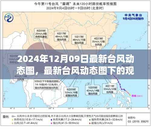 聚焦台风动态，最新观察与影响分析（2024年台风动态图下的观察与思考）
