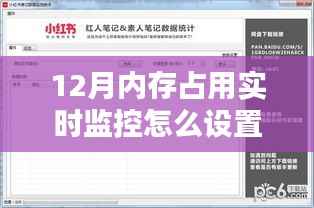 小红书风格教程,如何设置12月内存占用实时监控?