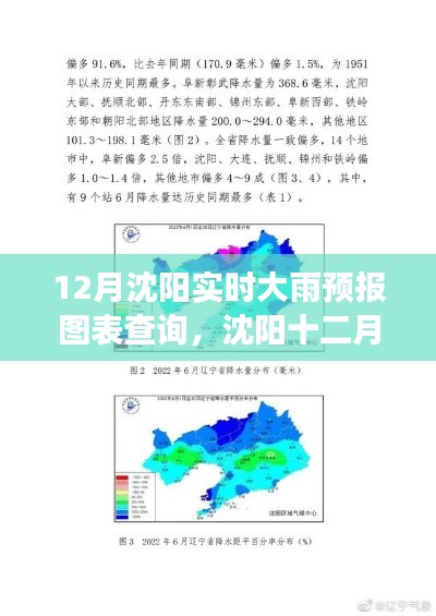 沈阳十二月雨情分析,实时大雨预报图表探寻雨幕低垂的背后故事