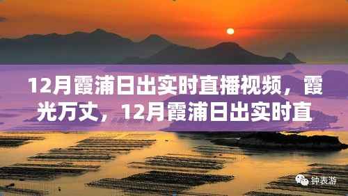 12月霞浦日出实时直播视频,霞光万丈的全面评测与介绍