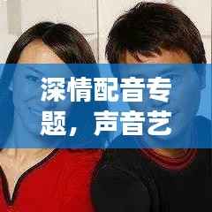 深情配音专题,声音艺术的情感传递力