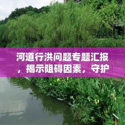 河道行洪问题专题汇报,揭示阻碍因素,守护水域安全