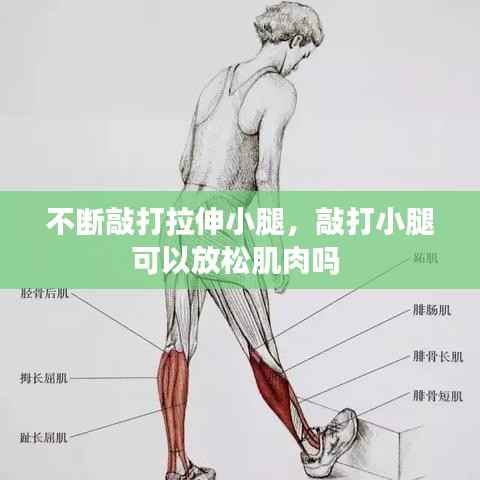 不断敲打拉伸小腿,敲打小腿可以放松肌肉吗