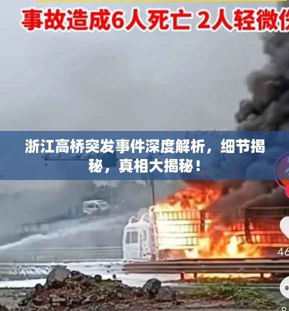 新闻中心 第196页