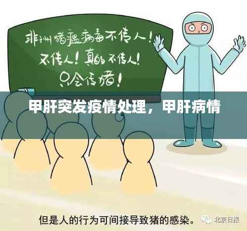 甲肝突发疫情处理,甲肝病情