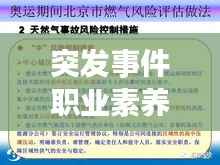 突发事件职业素养,突发事件工作应遵循的原则是